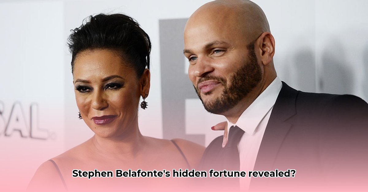 stephen-belafonte-net-worth